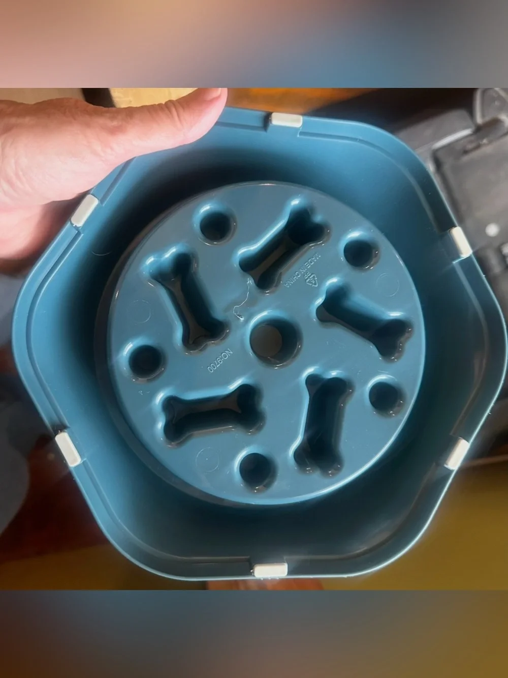 Slow Feeder Dog Bowl - Teal Bone Design